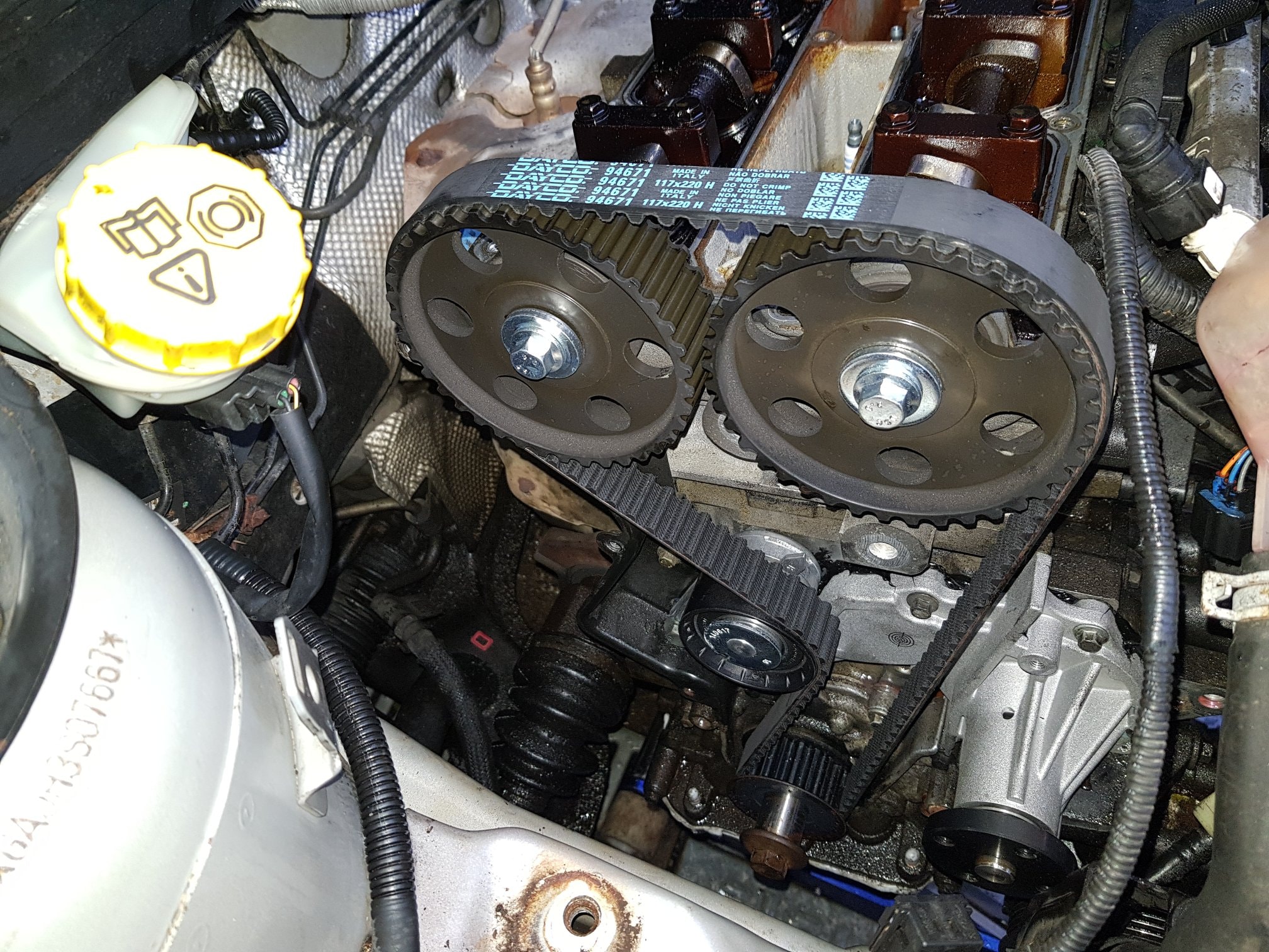 Timing Belts & Chains